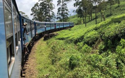 Sri Lanka 06/08 – Ella-Nanu Oya en train, route vers Ramboda