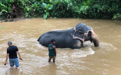Sri Lanka 10/08 – Rambukkana