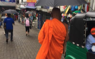 Sri Lanka 07/08 – Kandy pour 3 jours