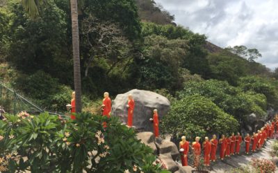 Sri Lanka 12/08 – Sigiriya & Dambulla