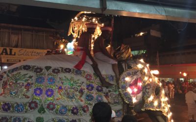 Sri Lanka 16/08 – Kandy