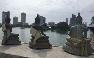 Sri Lanka 17/08 – Colombo